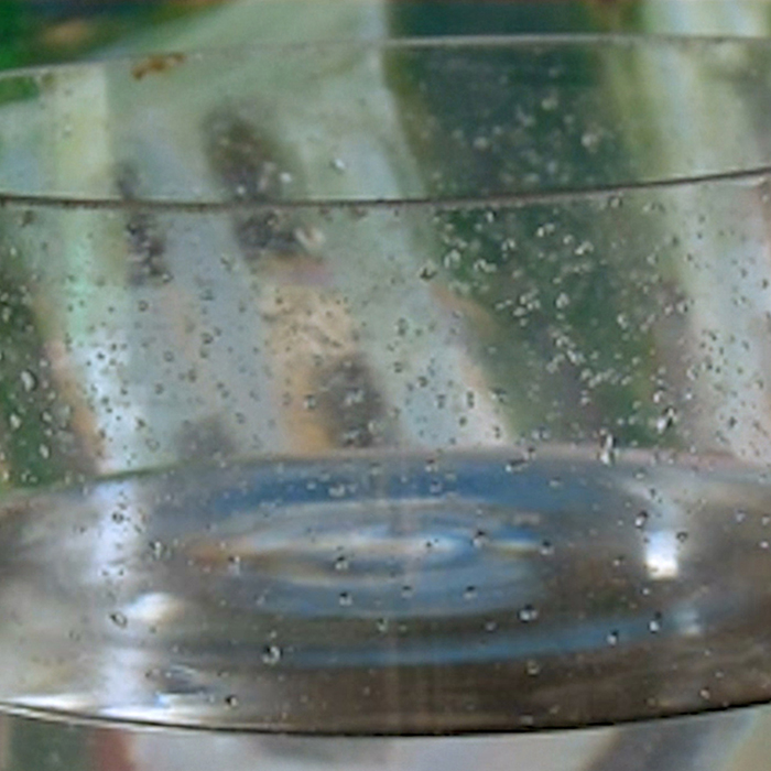 imagen 58. pablo ferrando